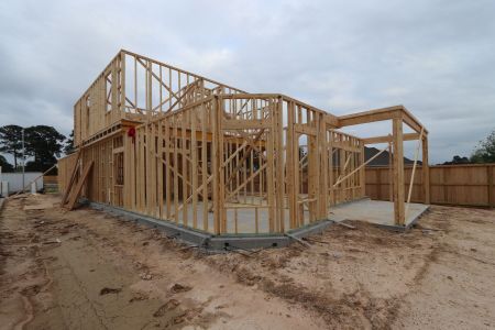 New construction Single-Family house 21903 Esparto Hills Trail, Tomball, TX 77447 Rosemary- photo 7 7