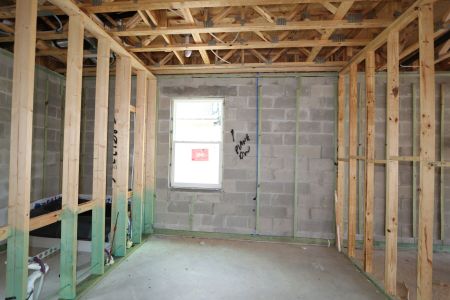 New construction Single-Family house 9611 Crescent Ray Drive, Wesley Chapel, FL 33545 Dali- photo 33 33
