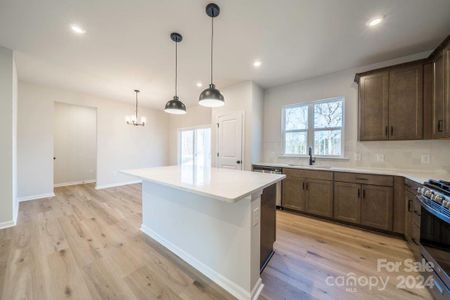 New construction Single-Family house 8210 Franklin Trail Street, Charlotte, NC 28227 Allen- photo 2 2