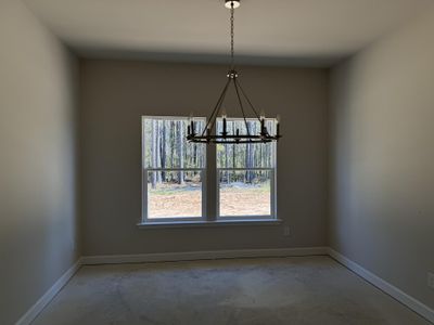 New construction Single-Family house 4369 Cotton Flat Road, Summerville, SC 29485 Coolidge Homeplan- photo 34 34