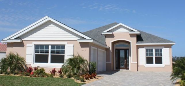 New construction Single-Family house 118 Portofino Boulevard, New Smyrna Beach, FL 32168 - photo 7 7