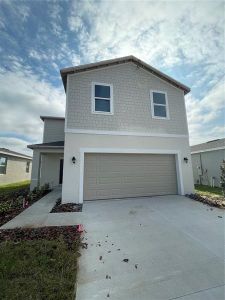 New construction Single-Family house 3138 Amaranth Street, Tavares, FL 32778 - photo