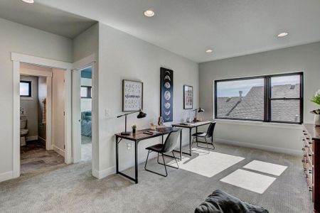 New construction Single-Family house 8412 Cromwell Circle, Windsor, CO 80528 - photo 46 46