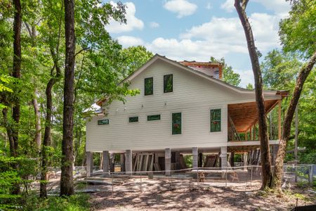 New construction Single-Family house 5105 St George Lane, Hollywood, SC 29449 - photo 17 17