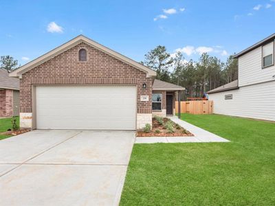 Magnolia Springs by Rausch Coleman Homes in Montgomery - photo 2 2