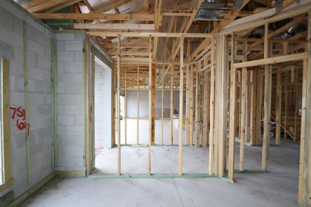 New construction Single-Family house 5092 Bromeliad Avenue, Wimauma, FL 33598 Barcello Bonus- photo 22 22