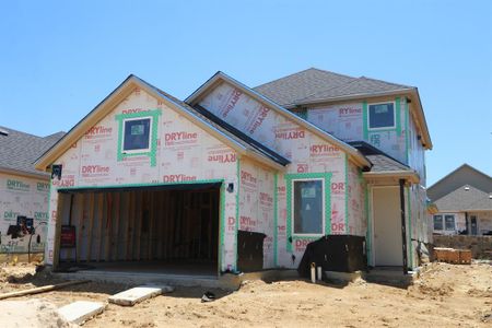 New construction Single-Family house 431 Holly Road, Oak Point, TX 75068 Legato- photo 24 24