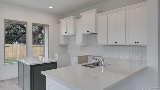 New construction Single-Family house 12415 Aurora Basin, San Antonio, TX 78254 Design 1650W- photo 20 20