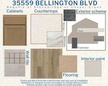 New construction Single-Family house 35559 Bellington Blvd, Zephyrhills, FL 33541 Begonia- photo 3 3