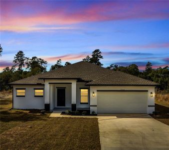 New construction Single-Family house 7953 Sw 128Th Street Road, Ocala, FL 34473 - photo 0