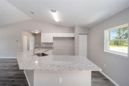 New construction Single-Family house 410 Redwood Drive, Dunnellon, FL 34431 - photo 20 20
