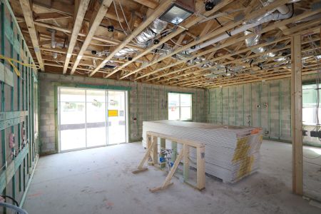 New construction Single-Family house 2852 Misty Marble Drive, Zephyrhills, FL 33540 Castellana- photo 73 73