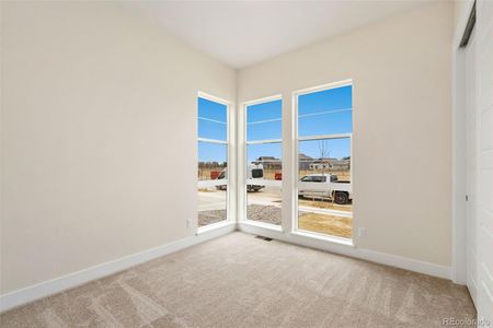 New construction Single-Family house 1304 Alyssa Drive, Timnath, CO 80547 4- photo 5 5