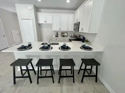 New construction Townhouse house 9716 Sweetwell Place, Riverview, FL 33569 - photo 6 6
