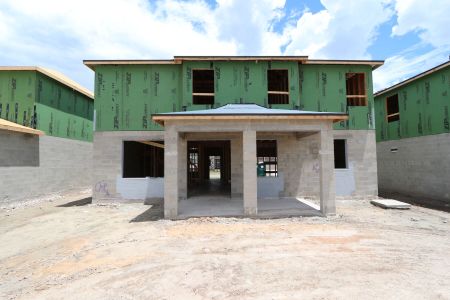New construction Single-Family house 31852 Sapna Chime Drive, Wesley Chapel, FL 33545 Renau- photo 31 31