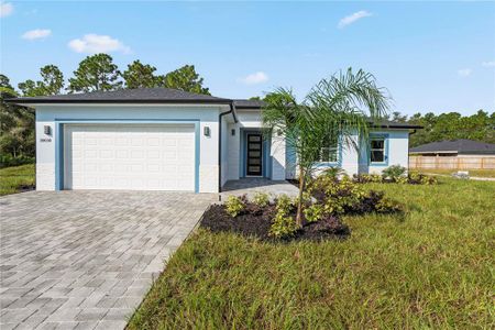 New construction Single-Family house 30038 Aster Court, Eustis, FL 32736 - photo 0