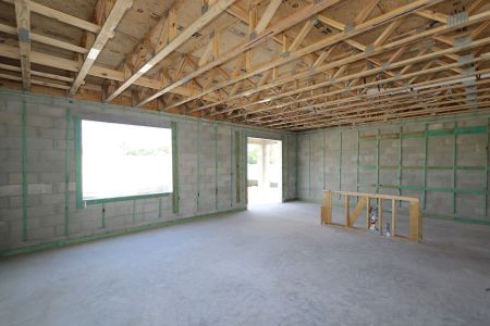 New construction Single-Family house 3077 Misty Marble Drive, Zephyrhills, FL 33540 Castellana- photo 16 16