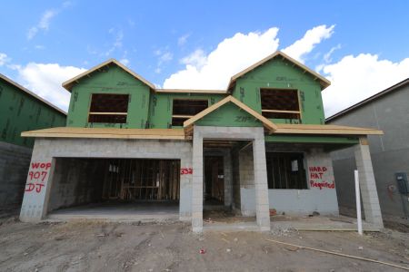 New construction Single-Family house 33251 Amling Pecan Branch, Wesley Chapel, FL 33545 Santa Monica- photo 12 12