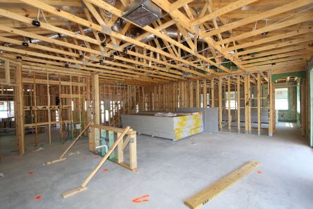 New construction Single-Family house 7702 Hemlock Seed Drive, Wesley Chapel, FL 33545 Corina II Bonus- photo 41 41