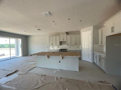 New construction Single-Family house 891 Pointe Emerson Boulevard, Apopka, FL 32703 Tranquility - Eco Grand Series- photo 6 6
