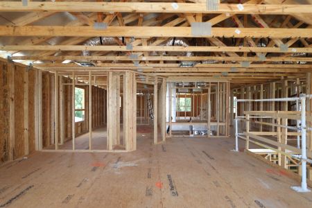 New construction Single-Family house 9635 Crescent Ray Drive, Wesley Chapel, FL 33545 Mira Lago- photo 40 40
