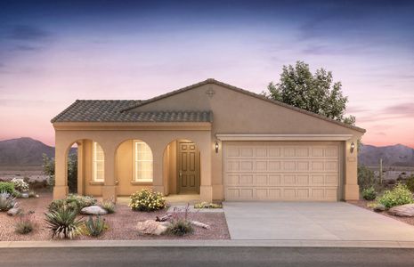 New construction Single-Family house 32486 133rd Lane, Peoria, AZ 85383 - photo 16 16