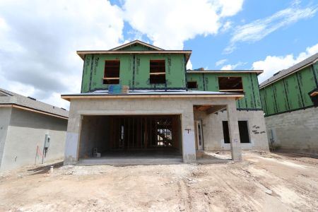 New construction Single-Family house 31801 Sapna Chime Drive, Wesley Chapel, FL 33545 Alenza- photo 29 29