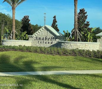 New construction Single-Family house 2503 Clayton Fls Cove, Green Cove Springs, FL 32043 - photo 0