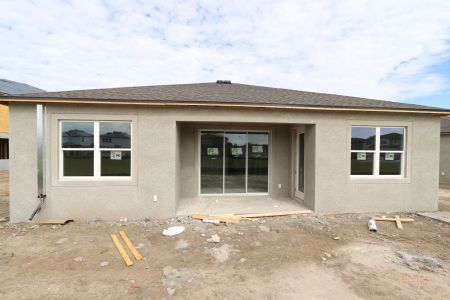 New construction Single-Family house 38124 Shale Stone Court, Zephyrhills, FL 33540 Miranda- photo