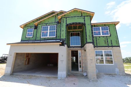 New construction Single-Family house 31810 Sapna Chime Drive, Wesley Chapel, FL 33545 Mira Lago- photo 48 48