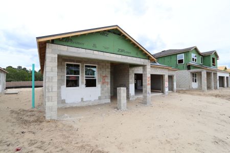 New construction Single-Family house 2483 Clary Sage Drive, Spring Hill, FL 34609 Corina  III Bonus- photo 36 36