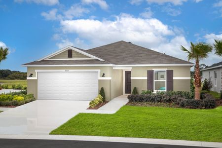 New construction Single-Family house Groveland, FL 34736 - photo 8 8
