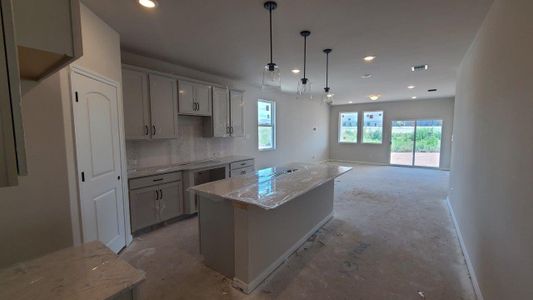New construction Single-Family house 919 Palo Brea Loop, Hutto, TX 78634 Livingston Homeplan- photo 79 79
