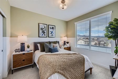 Prospect Village at Sterling Ranch - Townhomes by Dream Finders Homes in Littleton - photo 30 30