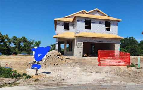 New construction Single-Family house 204 Krenson Bay Loop, Winter Haven, FL 33881 2202-- photo 9 9