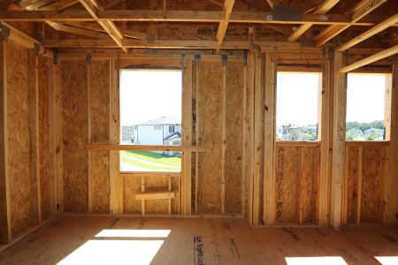 New construction Single-Family house 2885 Misty Marble Drive, Zephyrhills, FL 33540 Herrera- photo 50 50
