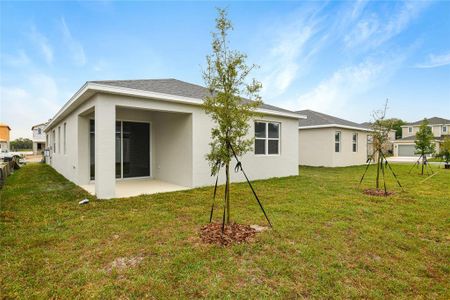 New construction Single-Family house 1004 Green Tree Court, Haines City, FL 33844 Beech- photo 16 16