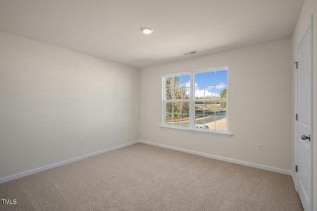 New construction Single-Family house 66 Finsbury Court, Lillington, NC 27546 Hayden - photo 19 19