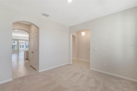 New construction Single-Family house 17874 Hither Hills Circle, Winter Garden, FL 34787 - photo 22 22