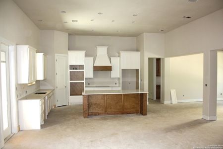 New construction Single-Family house 1136 Crystal Falls, Spring Branch, TX 78070 - photo 4 4