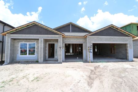 New construction Single-Family house 32568 Sapna Chime Drive, Wesley Chapel, FL 33545 Barcello- photo 42 42