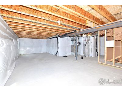 New construction Single-Family house 2286 Golden Way, Windsor, CO 80550 Saratoga- photo 35 35