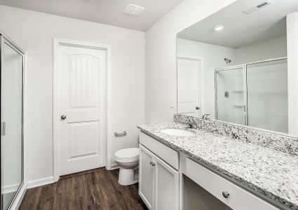 Master bathroom with granite vanity and a walk-in shower.