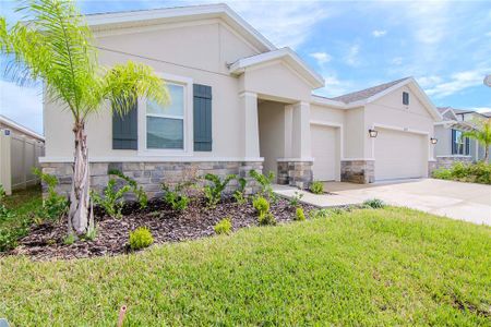 New construction Single-Family house 12428 Shining Willow Street, Riverview, FL 33579 - photo 1