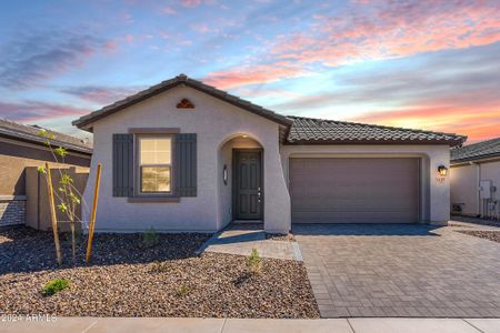 New construction Single-Family house 1407 W Macaw Drive, Queen Creek, AZ 85140 - photo 0