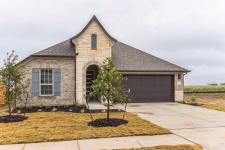 New construction Single-Family house 20305 Dustin Lane, Pflugerville, TX 78660 Taylor 4122 Freedom Series- photo 1 1