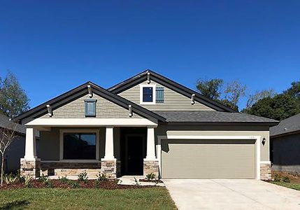New construction Single-Family house Sweetwater, 8259 Tea Olive Terrace, Palmetto, FL 34221 - photo