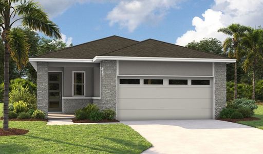 New construction Single-Family house 5989 Jensen View Ave, Apollo Beach, FL 33572 Beech- photo 0 0