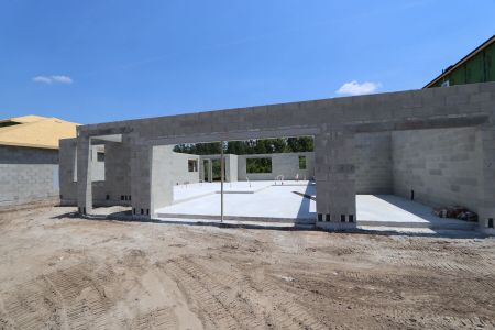 New construction Single-Family house 7690 Hemlock Seed Drive, Wesley Chapel, FL 33545 Sonoma II- photo 3 3