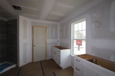 New construction Single-Family house 3005 June Lake Station, Apex, NC 27502 Viola - Premier Collection- photo 37